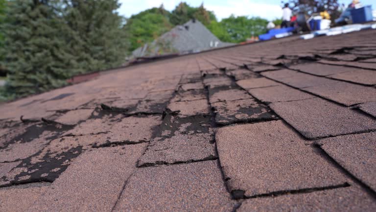 Best Roofing for New Construction  in Lmyra, PA