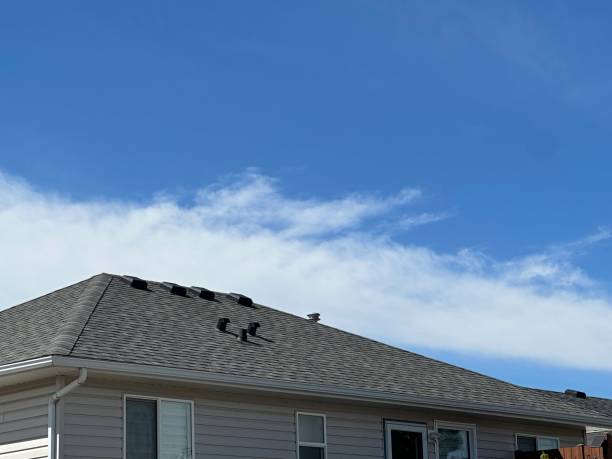 Best Chimney Flashing Repair  in Lmyra, PA